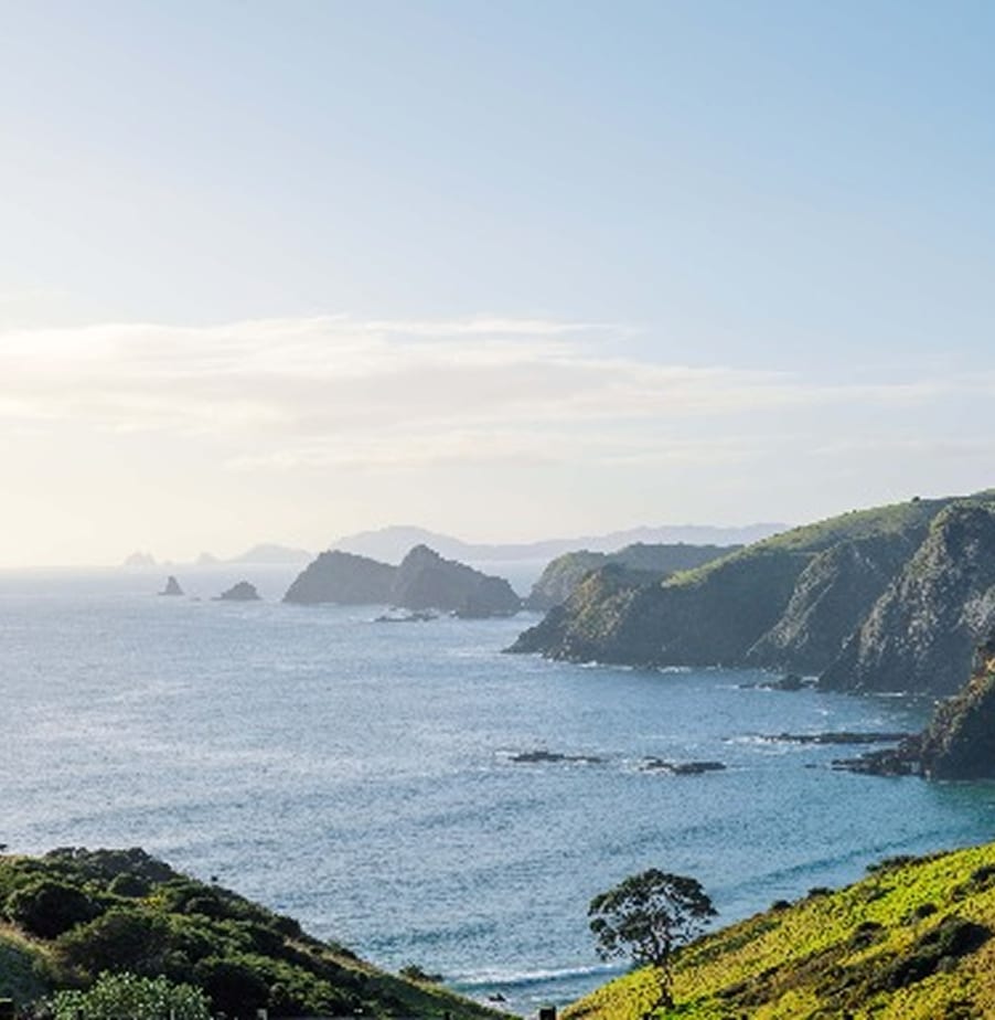 Bay of Islands from Mataka Station — headlands, native bush, Nine Pin on the horizon