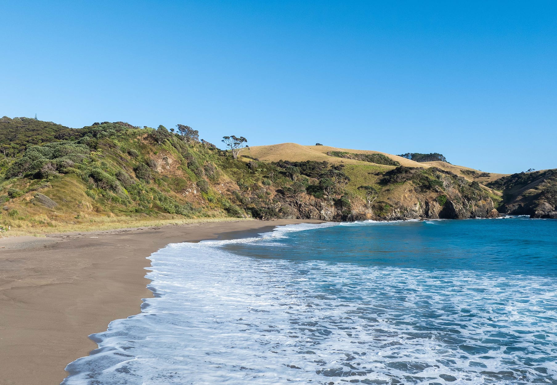 Private beach cove — clean surf and native headland