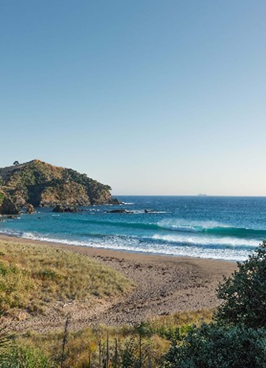 Private beach cove — turquoise surf, native headland, unspoilt sand
