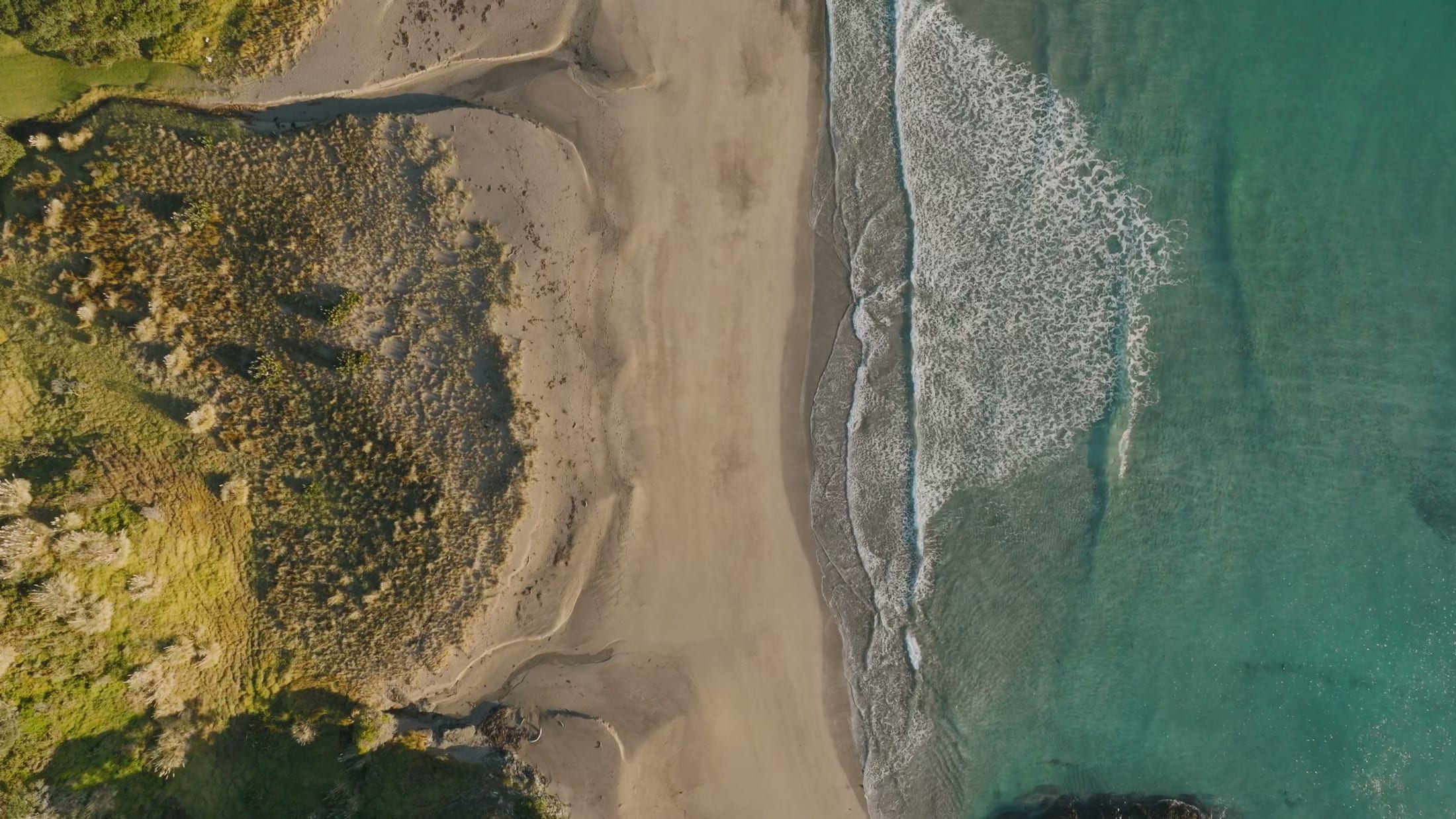 Aerial top-down of the shoreline running between dune scrub and clear water