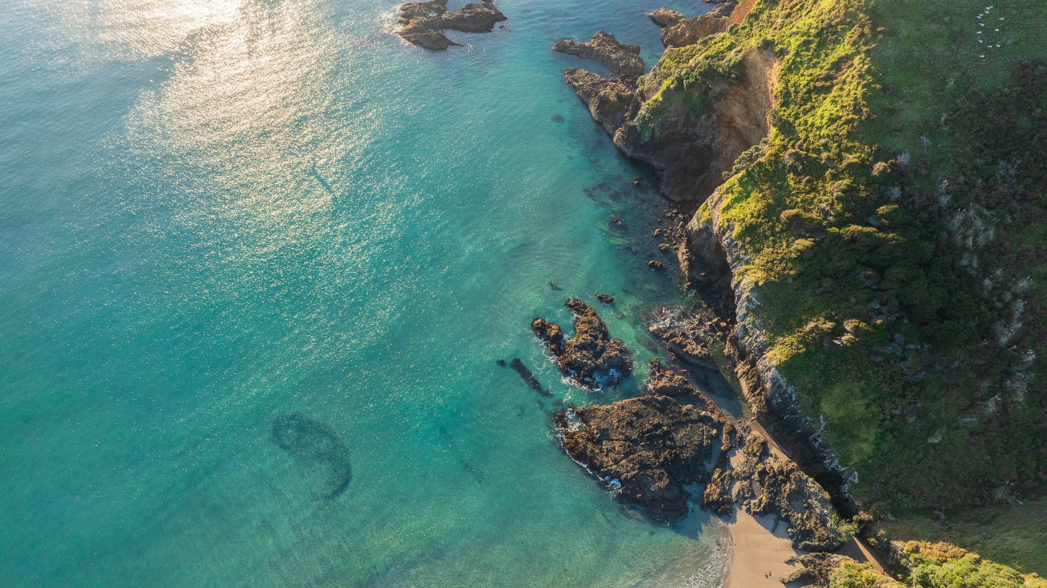 Aerial of turquoise water meeting a rocky green headland and a small beach