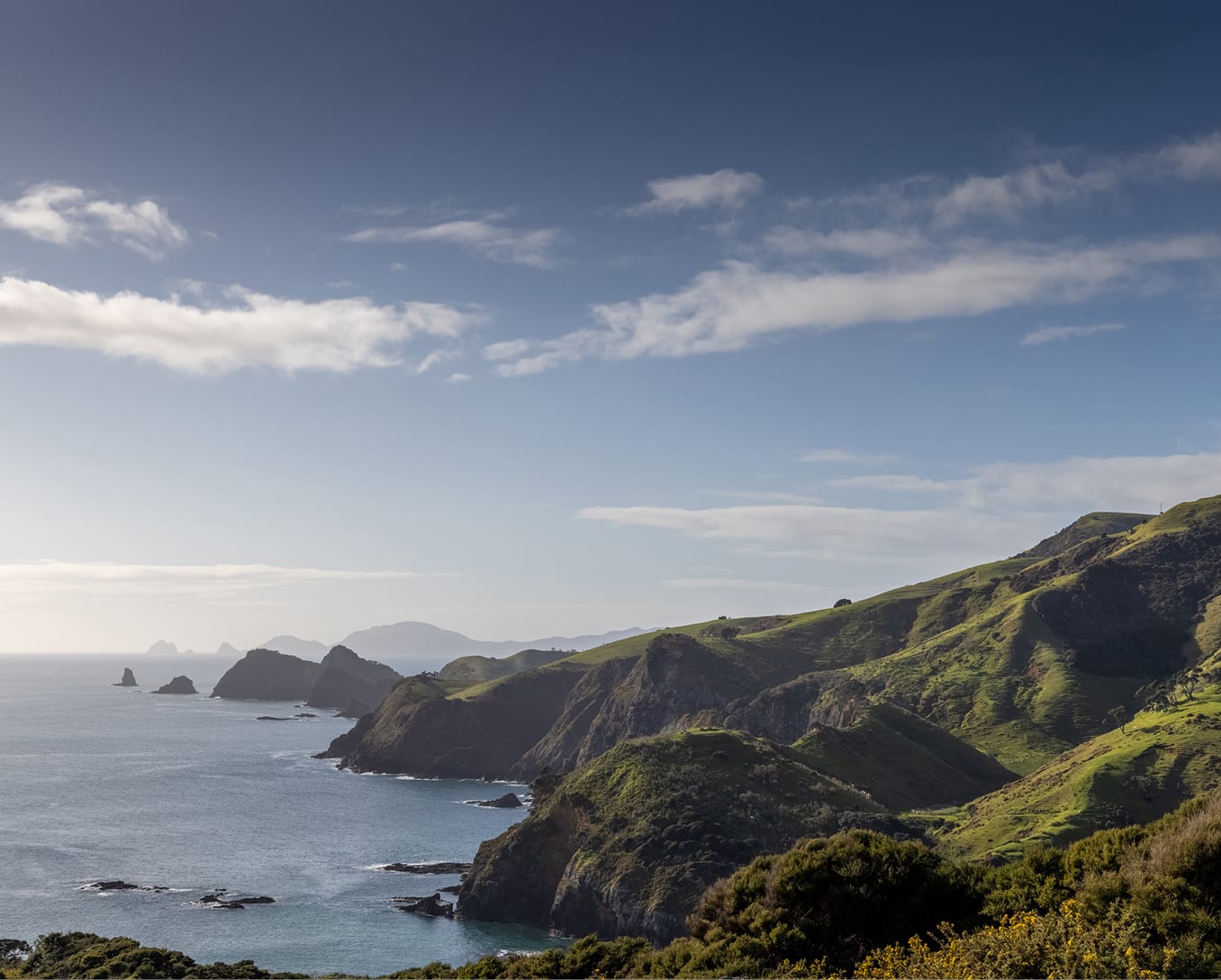 Coastal headlands — Nine Pin rock and the northern Bay of Islands