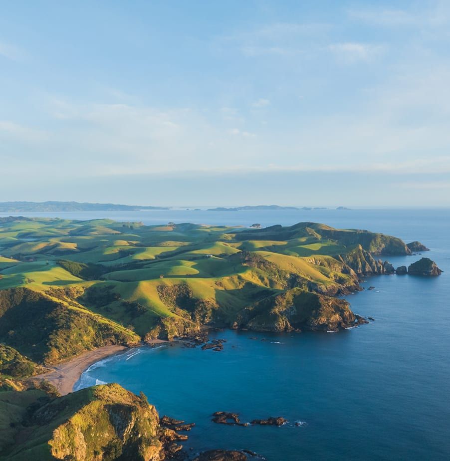 Aerial view of protected coastline — headlands, private cove, and the Pacific