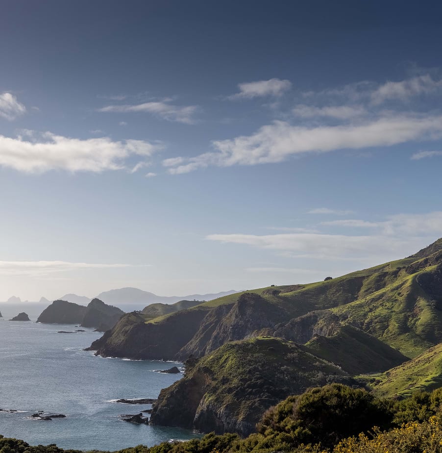 Coastal headlands stretching into the Bay of Islands — the estate's western edge