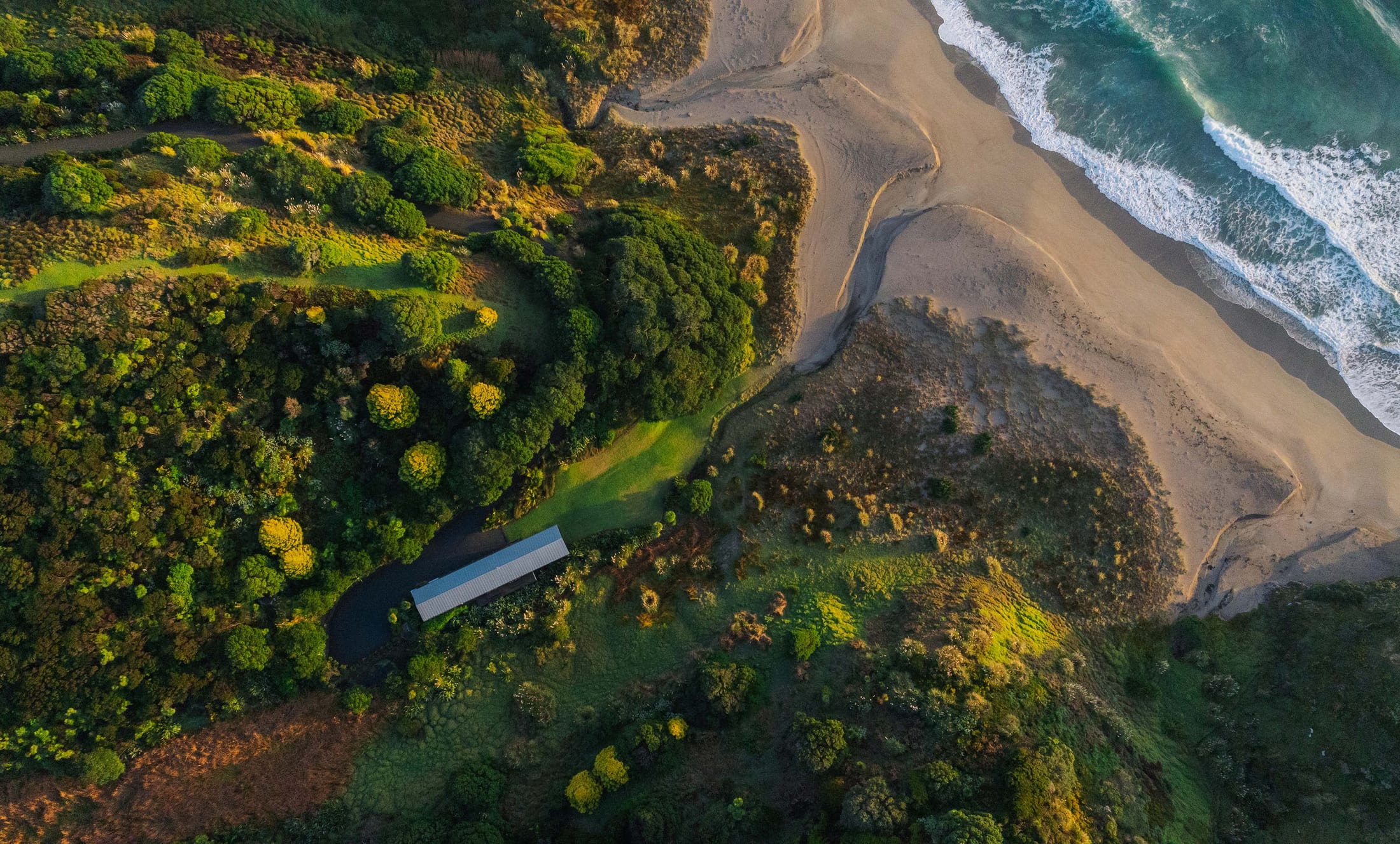 Top-down aerial of Beach Lodge nestled in native bush above Mataka Beach