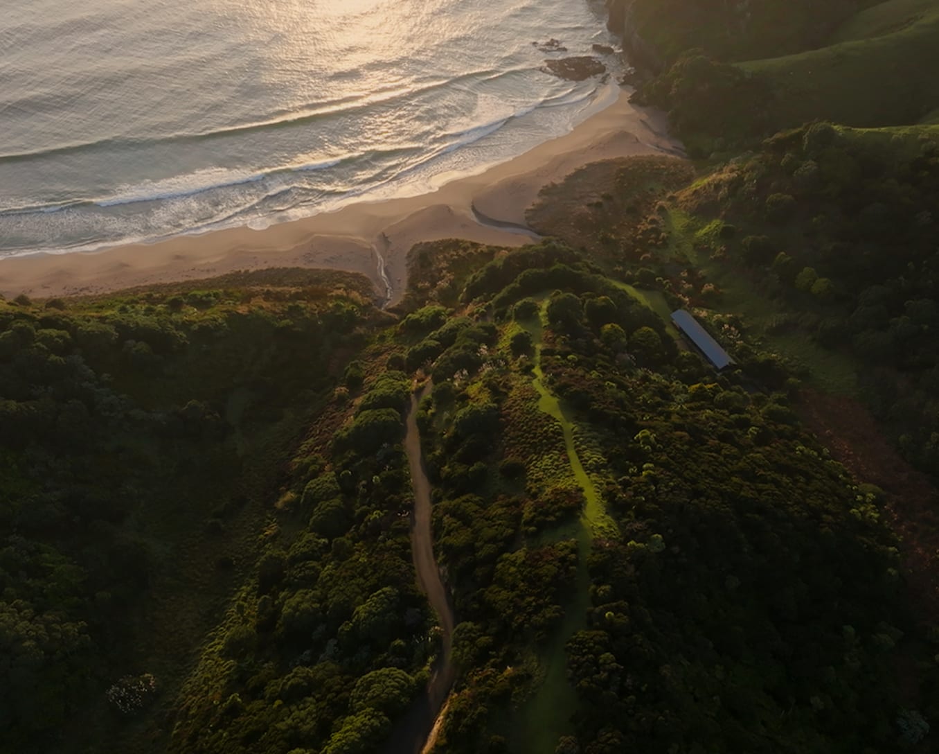 Beach Lodge nestled in native bush at the water's edge