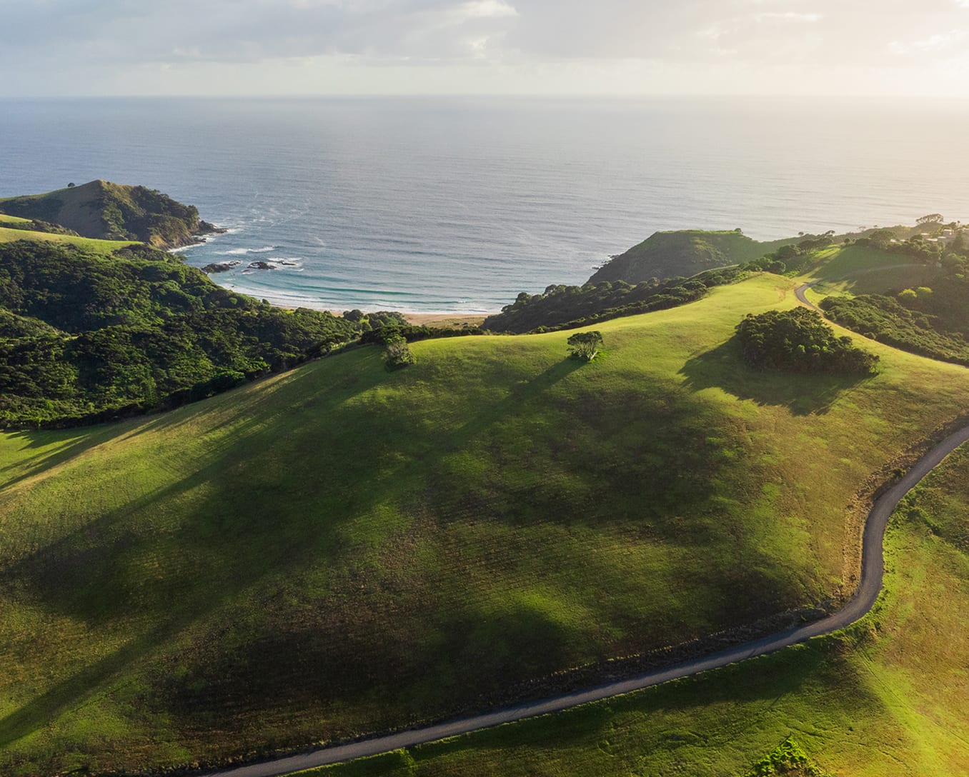 Rolling pastoral hills with winding road descending to the Pacific