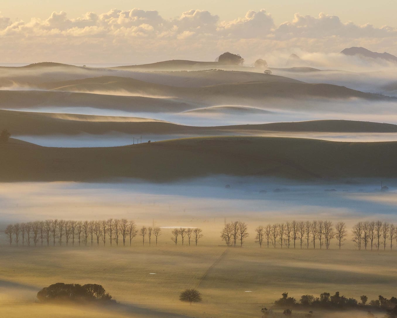 Misty golden morning over Mataka Station's pastoral valleys — layered fog and tree lines
