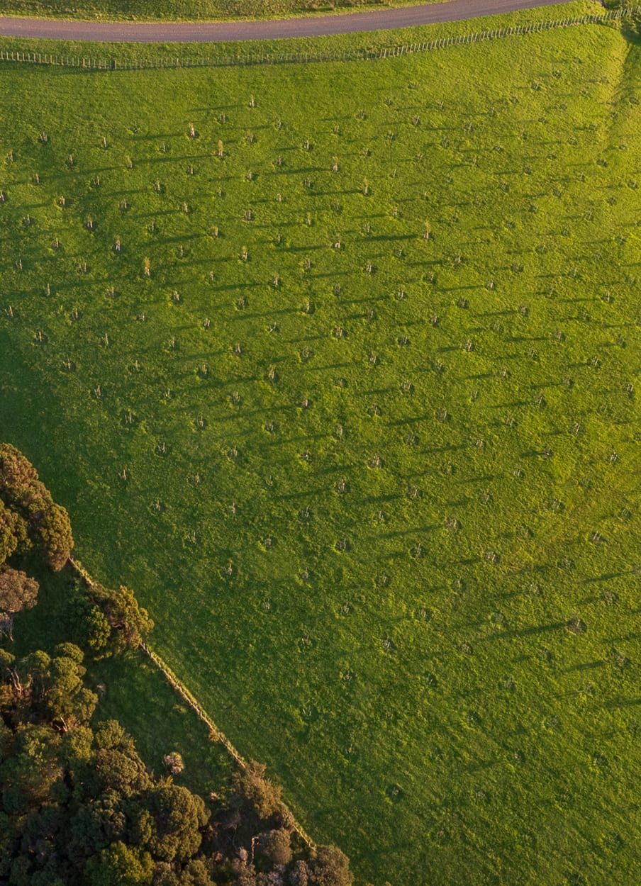 Aerial farm paddock meeting native bush — the conservation boundary