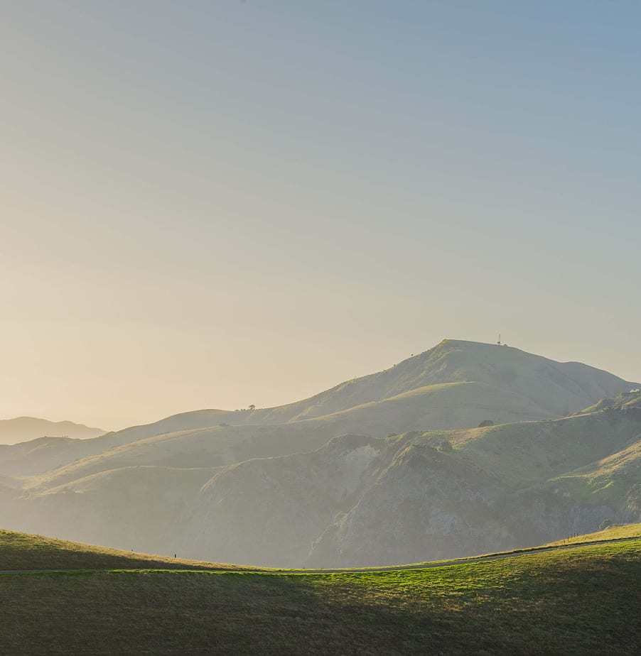 Golden pastoral haze over rolling hills at dusk — the still interior of the estate