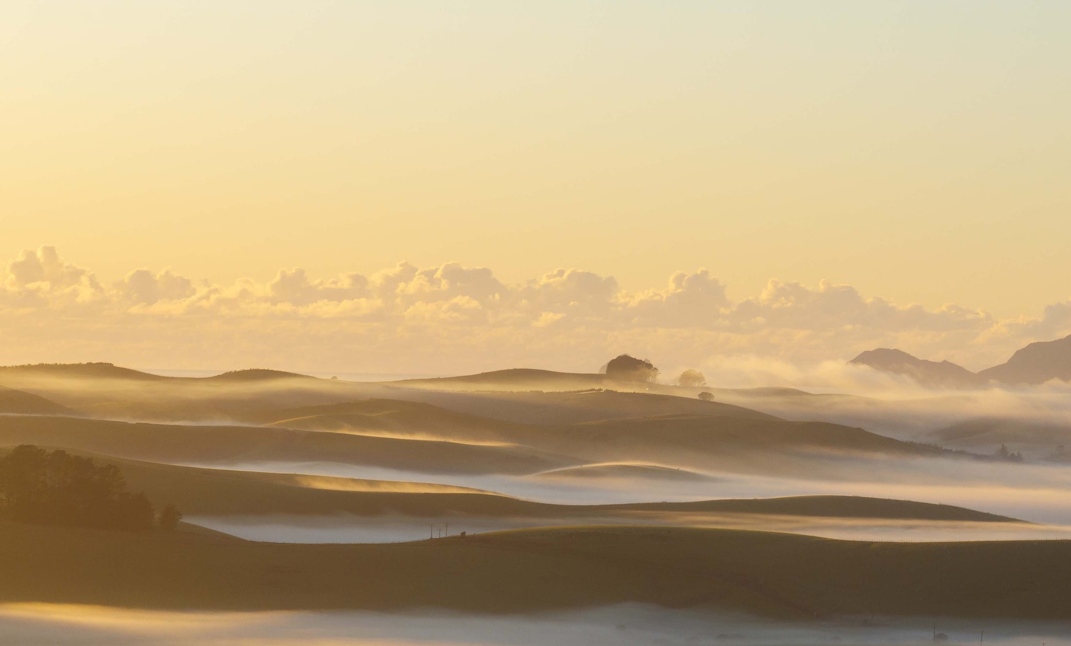 Pure golden sunrise mist rolling through Mataka Station — hills dissolving into light
