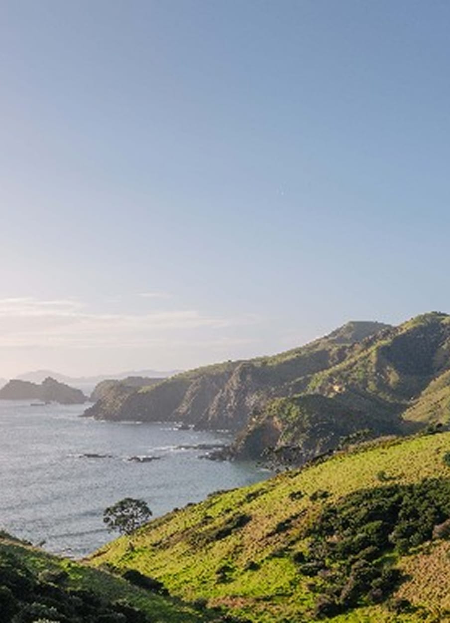 Coastal green hills and native bush — the protected landscape at its finest