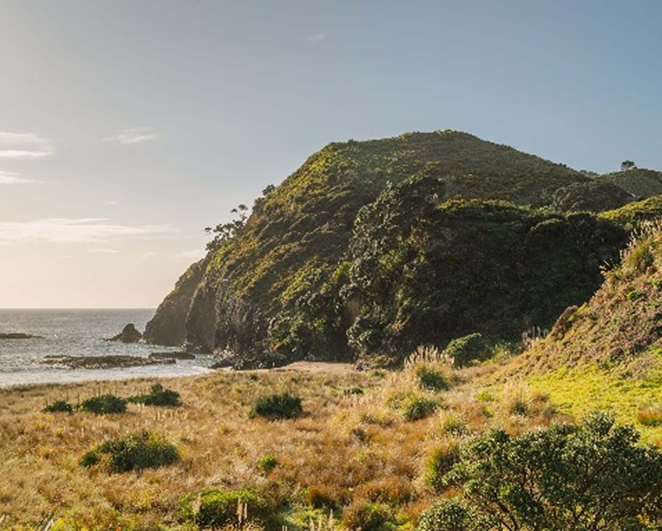 Native coastal scrub on a headland — the wild edge of the conservation estate