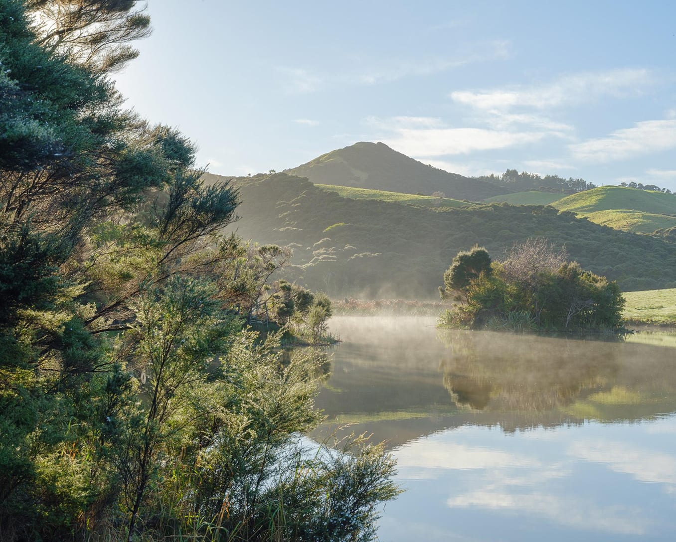 Misty dawn at a freshwater pond in the conservation interior
