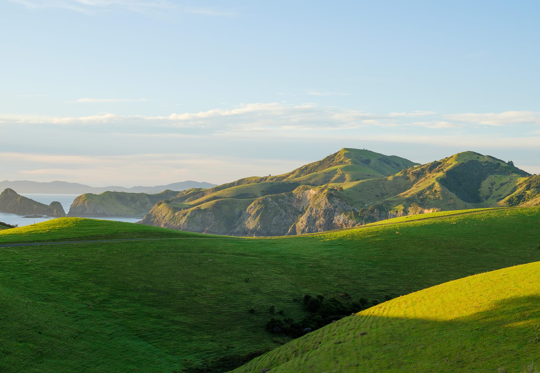 Rolling green hills meeting coastal cliffs and the Bay of Islands at golden hour