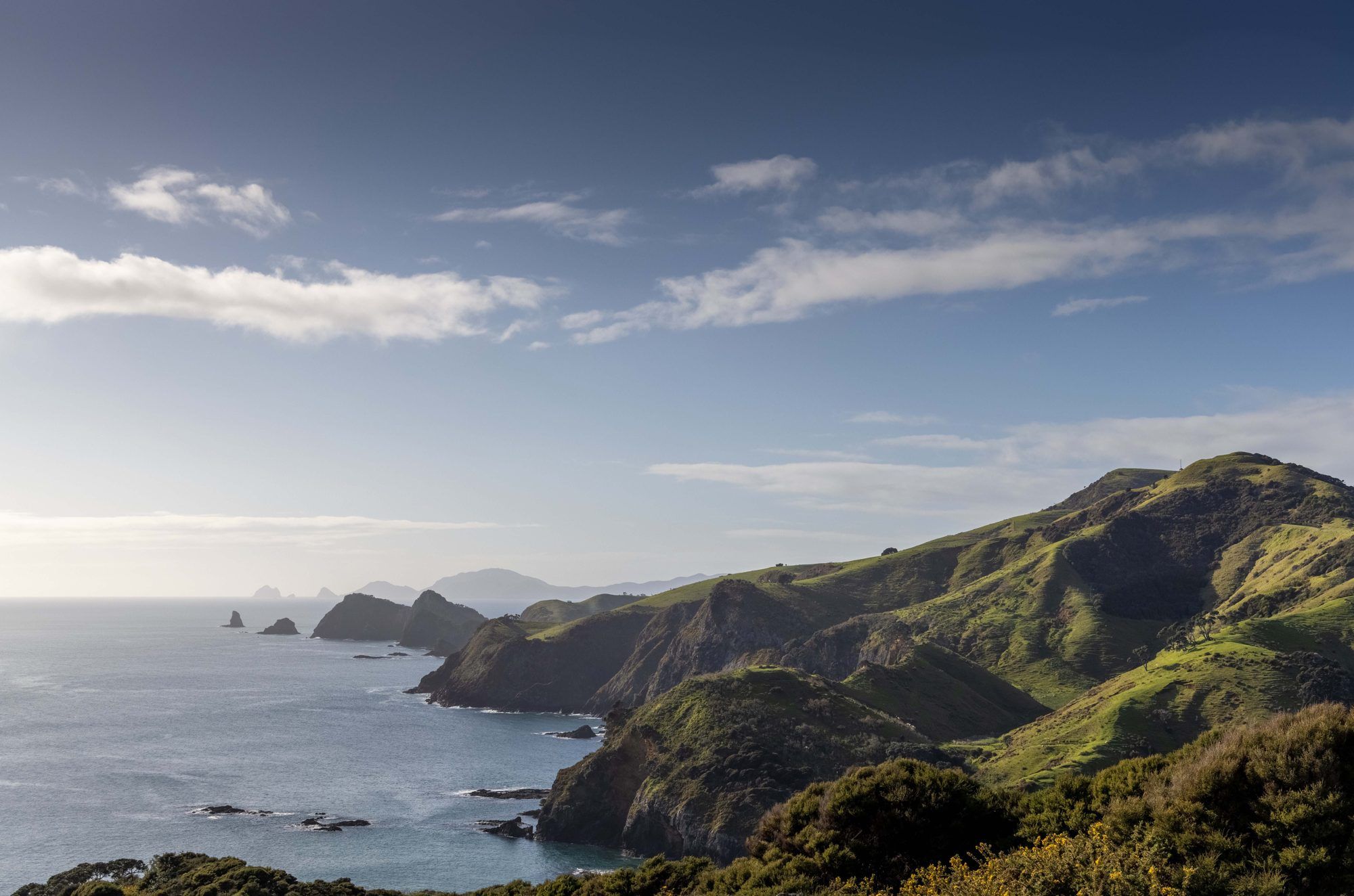 Rugged cliffs and offshore rocks on the Purerua Peninsula