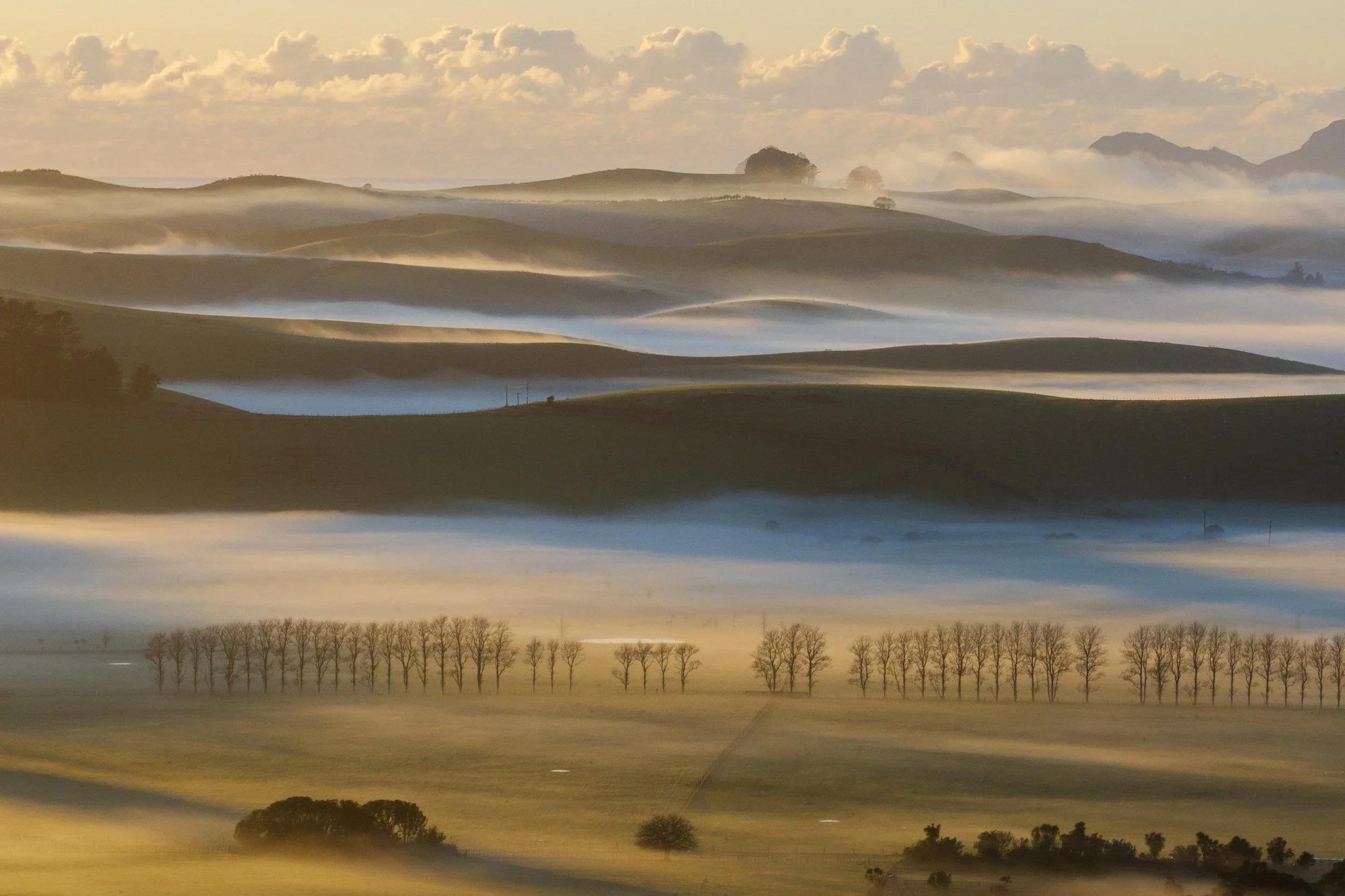 Morning mist across Mataka Station farmland
