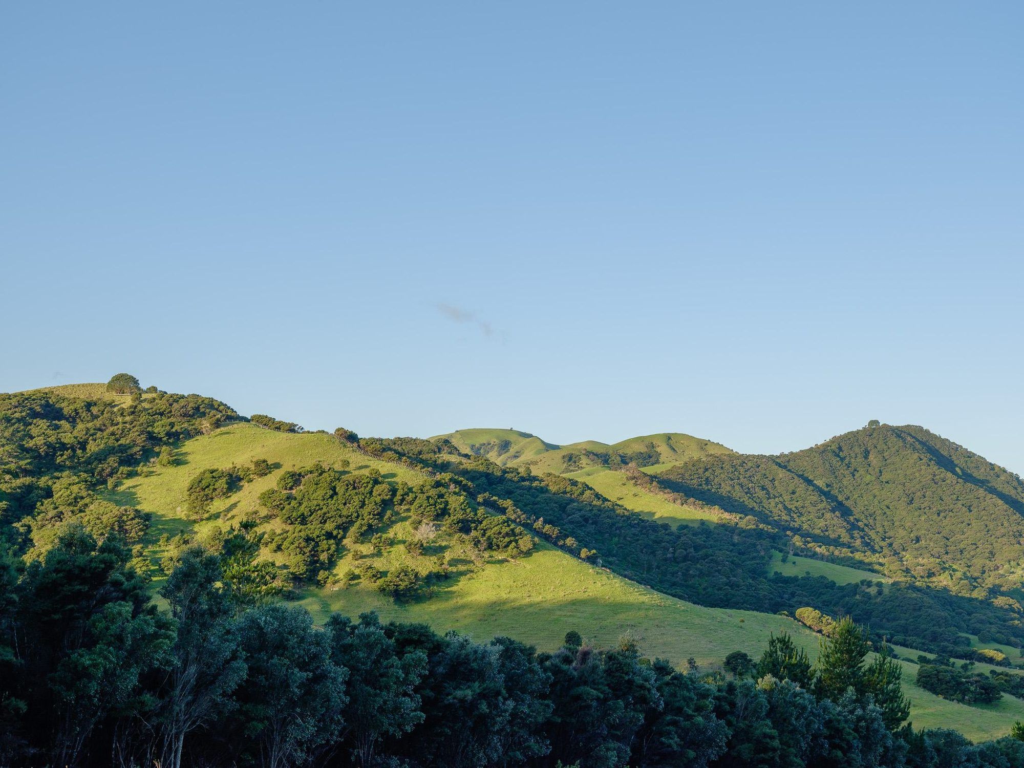 Pasture and dense native bush across the Mataka conservation estate