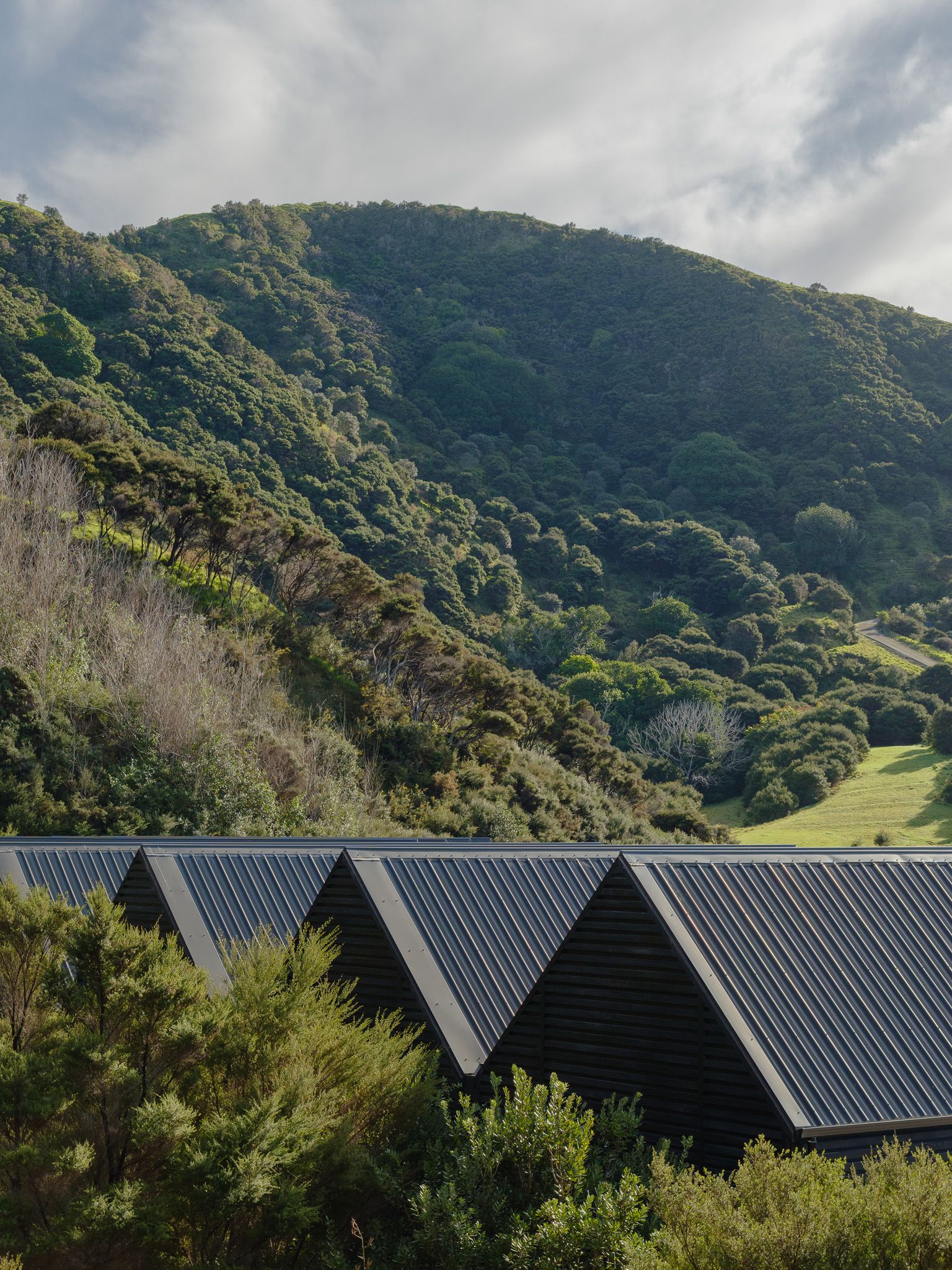 The gabled black boatsheds beneath Mataka's bush-covered hillside
