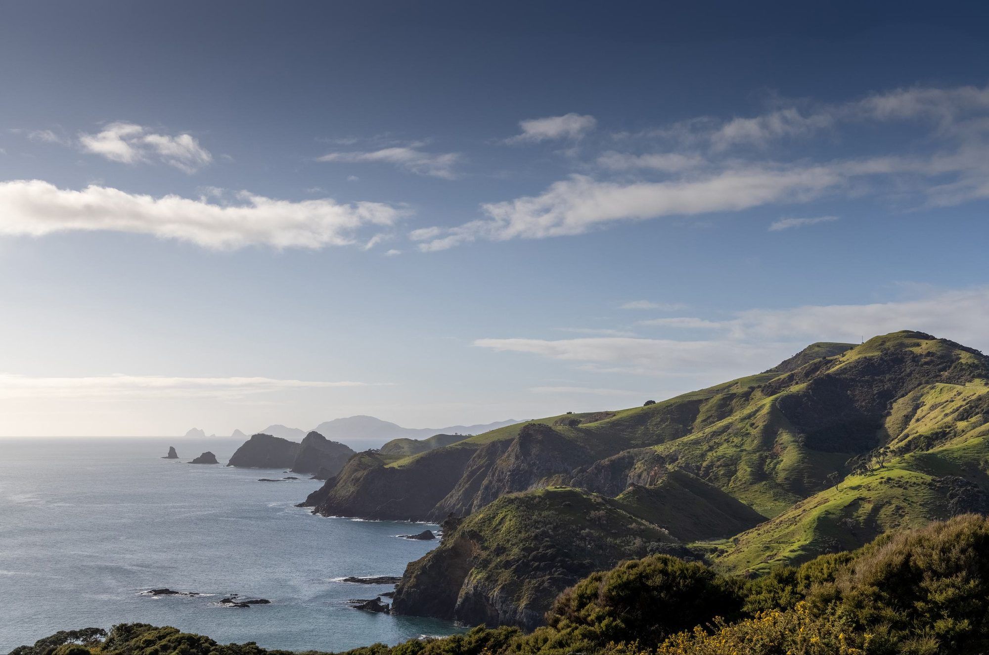 Coastal ridgeline and offshore rocks at Mataka Station