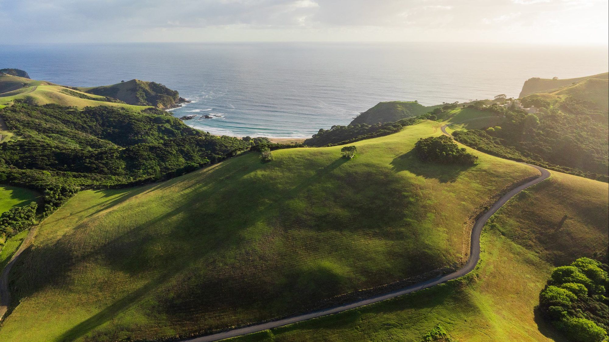 Farm road winding over green pasture above the coast
