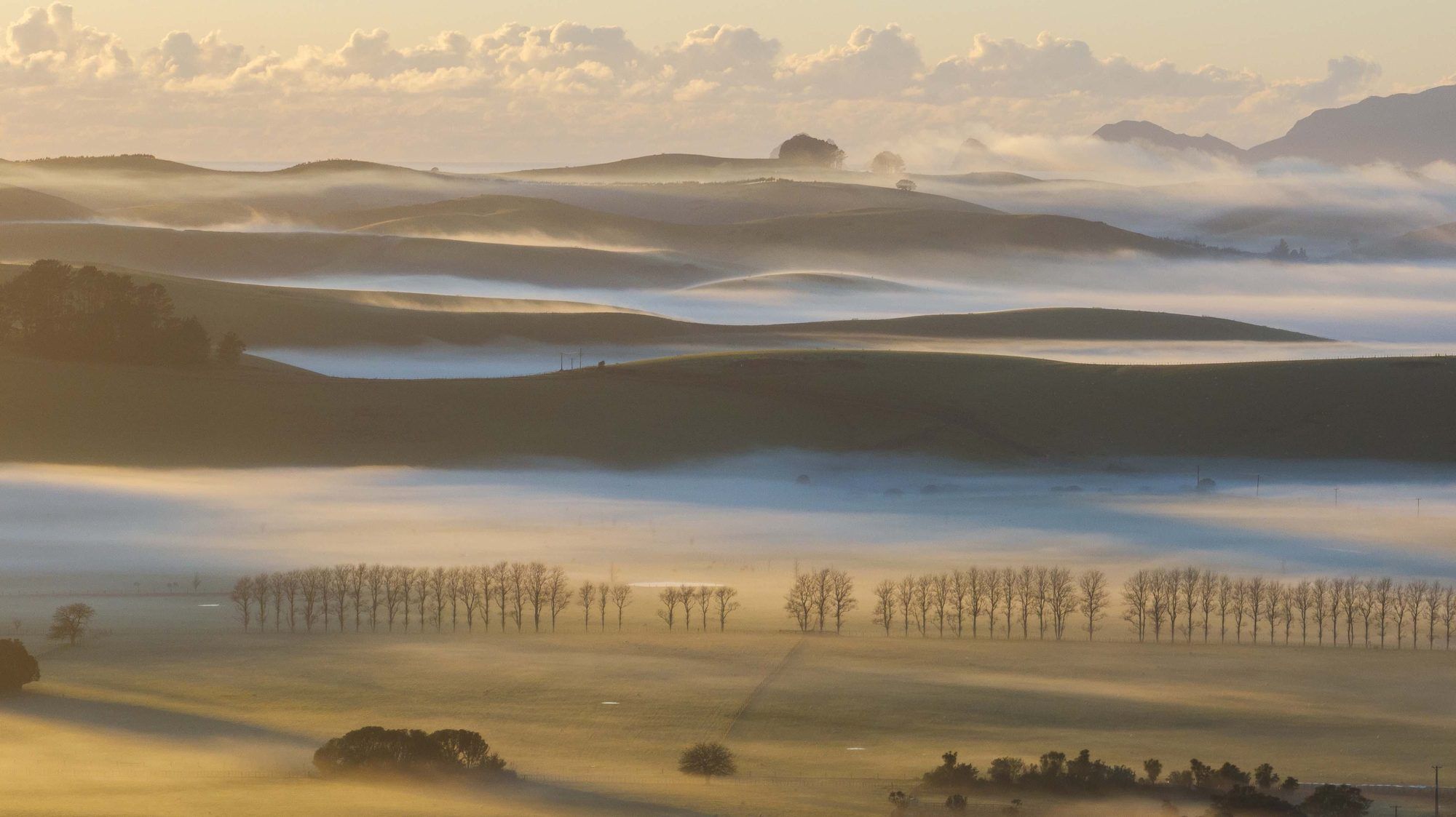Morning mist lying across Mataka Station farmland