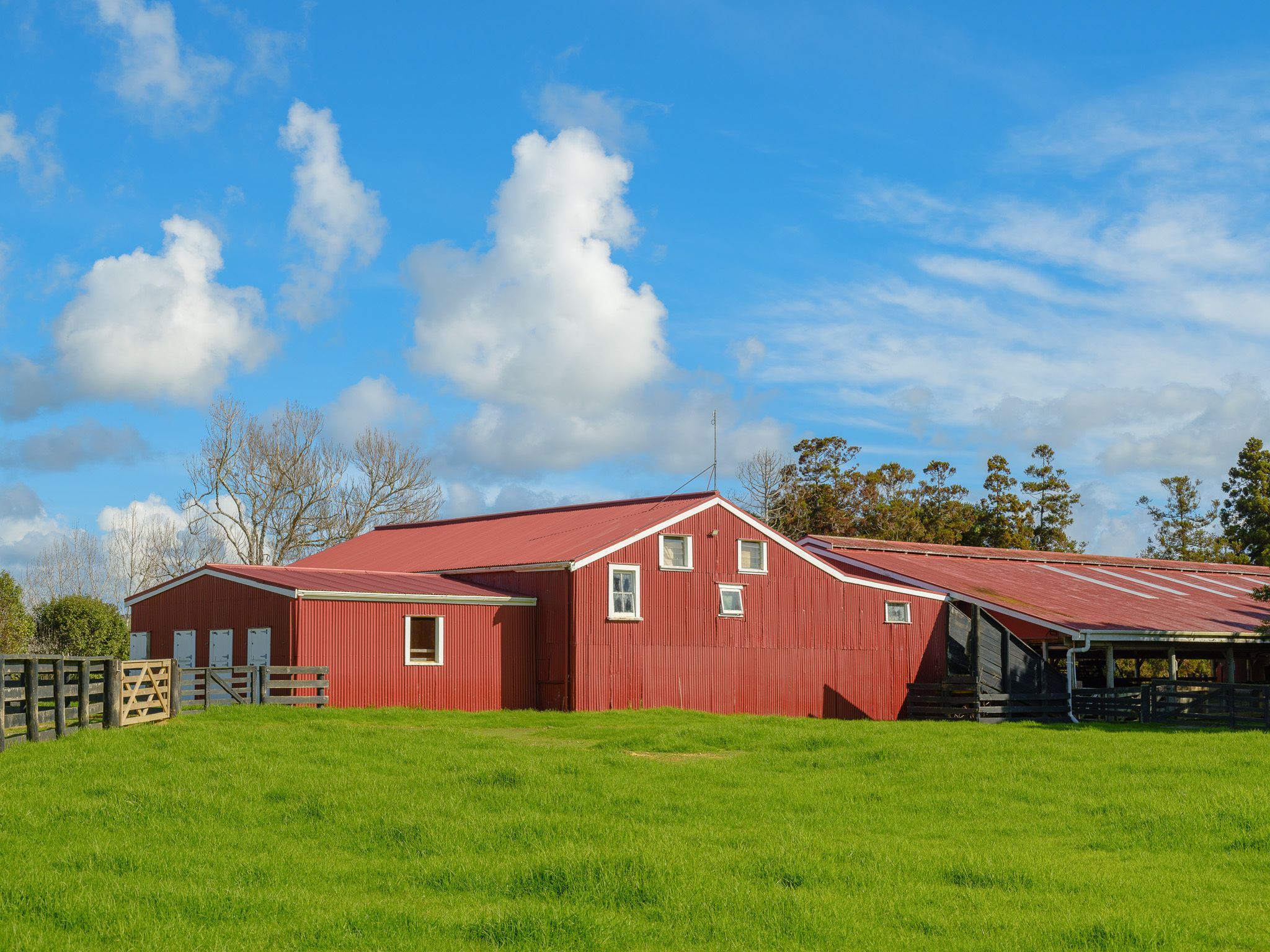 The red woolshed on open pasture under a wide summer sky